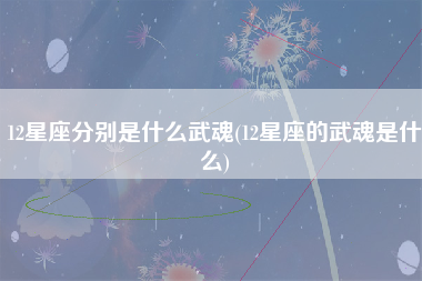 12星座分别是什么武魂(12星座的武魂是什么)