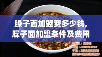 臊子面加盟费多少钱,臊子面加盟条件及费用详解