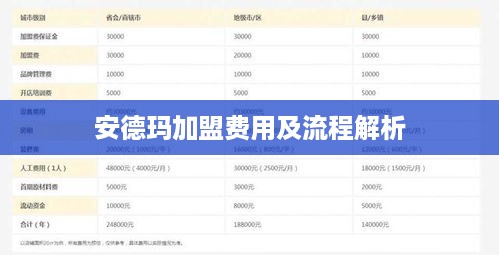 安德玛加盟费用及流程解析