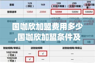 国咖欣加盟费用多少,国咖欣加盟条件及费用详情