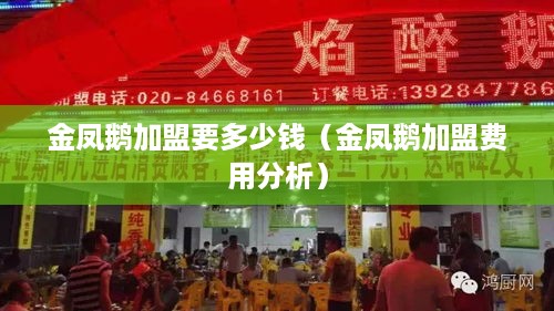 金凤鹅加盟要多少钱（金凤鹅加盟费用分析）