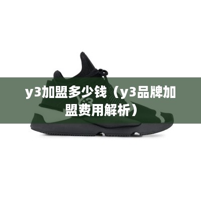 y3加盟多少钱（y3品牌加盟费用解析）