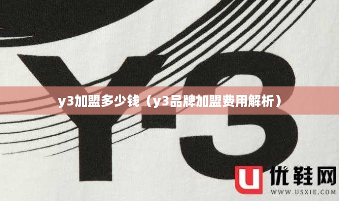 y3加盟多少钱（y3品牌加盟费用解析）