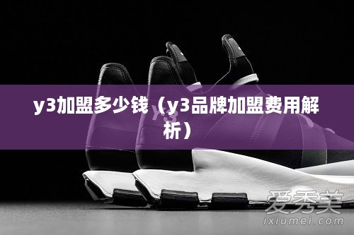 y3加盟多少钱（y3品牌加盟费用解析）