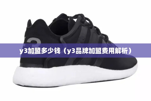 y3加盟多少钱（y3品牌加盟费用解析）