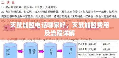 灭鼠加盟电话哪家好，灭鼠加盟费用及流程详解