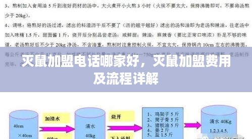 灭鼠加盟电话哪家好，灭鼠加盟费用及流程详解