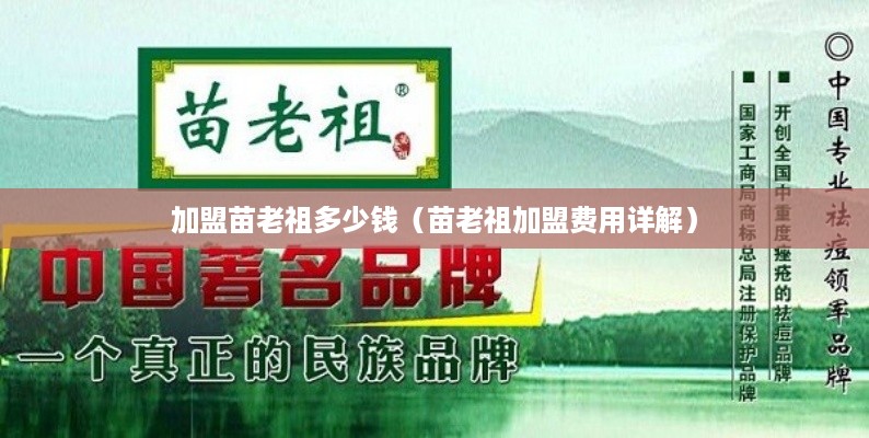 加盟苗老祖多少钱（苗老祖加盟费用详解）