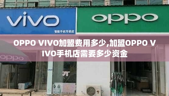 OPPO VIVO加盟费用多少,加盟OPPO VIVO手机店需要多少资金