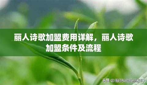 丽人诗歌加盟费用详解，丽人诗歌加盟条件及流程