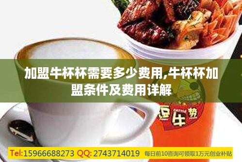 加盟牛杯杯需要多少费用,牛杯杯加盟条件及费用详解