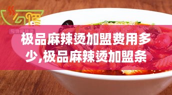 极品麻辣烫加盟费用多少,极品麻辣烫加盟条件及流程