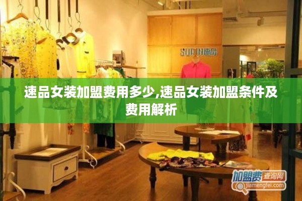 速品女装加盟费用多少,速品女装加盟条件及费用解析