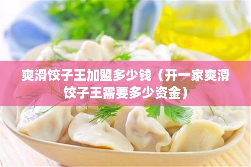 爽滑饺子王加盟多少钱（开一家爽滑饺子王需要多少资金）