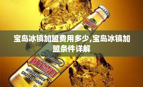 宝岛冰镇加盟费用多少,宝岛冰镇加盟条件详解