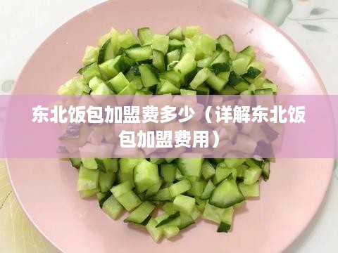 东北饭包加盟费多少（详解东北饭包加盟费用）