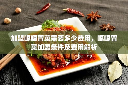 加盟嘎嘎冒菜需要多少费用，嘎嘎冒菜加盟条件及费用解析