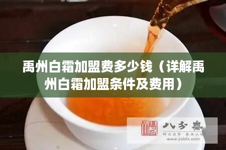 禹州白霜加盟费多少钱（详解禹州白霜加盟条件及费用）