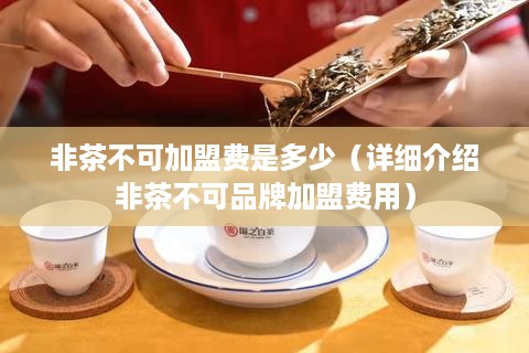 非茶不可加盟费是多少（详细介绍非茶不可品牌加盟费用）