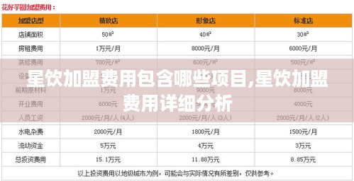 星饮加盟费用包含哪些项目,星饮加盟费用详细分析