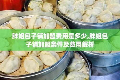 胖姐包子铺加盟费用是多少,胖姐包子铺加盟条件及费用解析