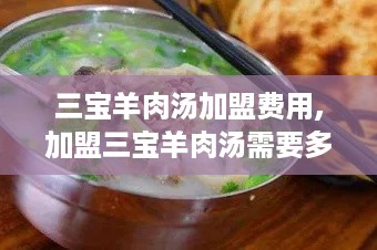 三宝羊肉汤加盟费用,加盟三宝羊肉汤需要多少费用