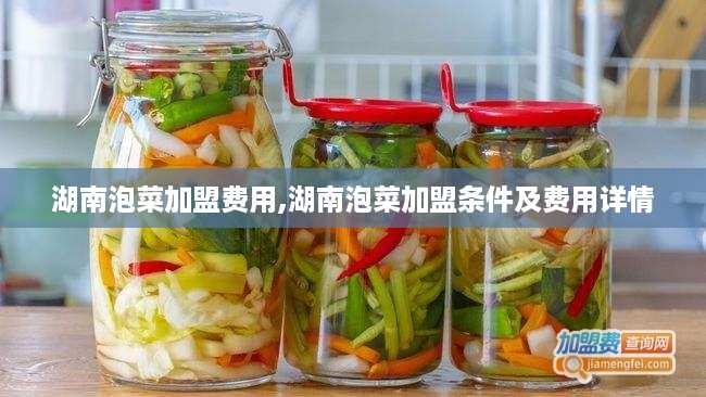 湖南泡菜加盟费用,湖南泡菜加盟条件及费用详情