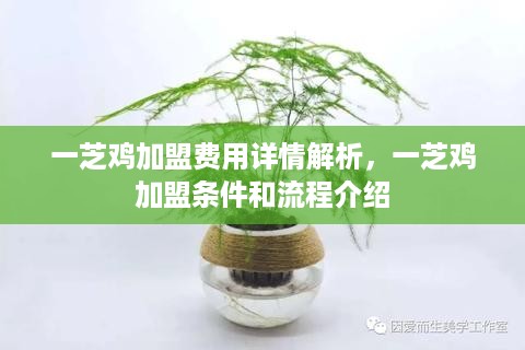 一芝鸡加盟费用详情解析，一芝鸡加盟条件和流程介绍