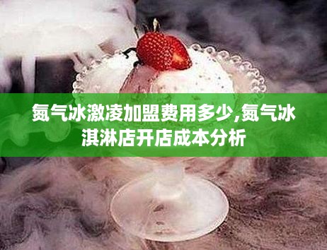 氮气冰激凌加盟费用多少,氮气冰淇淋店开店成本分析