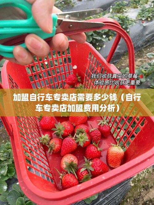 加盟自行车专卖店需要多少钱（自行车专卖店加盟费用分析）