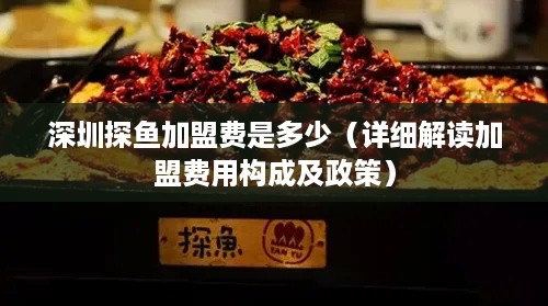 深圳探鱼加盟费是多少（详细解读加盟费用构成及政策）