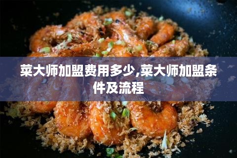 菜大师加盟费用多少,菜大师加盟条件及流程