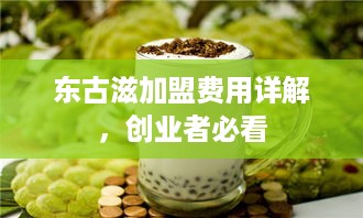 东古滋加盟费用详解，创业者必看