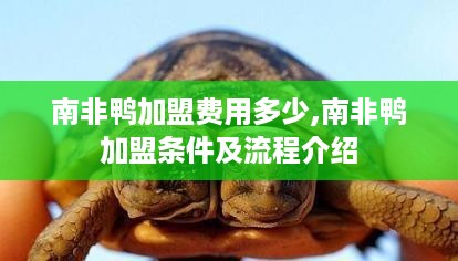 南非鸭加盟费用多少,南非鸭加盟条件及流程介绍