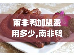 南非鸭加盟费用多少,南非鸭加盟条件及流程介绍