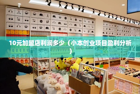 10元加盟店利润多少（小本创业项目盈利分析）