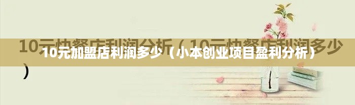 10元加盟店利润多少（小本创业项目盈利分析）