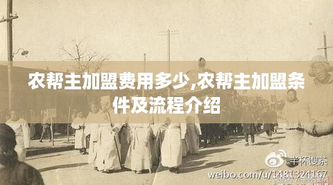 农帮主加盟费用多少,农帮主加盟条件及流程介绍