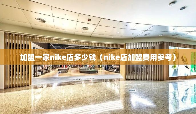 加盟一家nike店多少钱（nike店加盟费用参考）