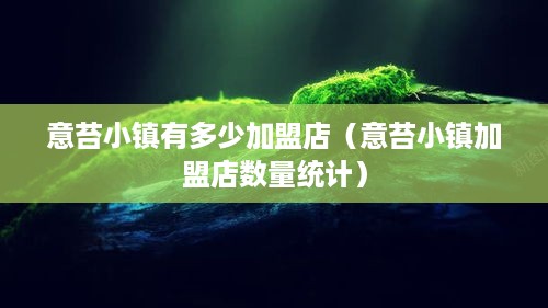 意苔小镇有多少加盟店（意苔小镇加盟店数量统计）