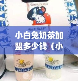 小白兔奶茶加盟多少钱（小白兔奶茶品牌加盟费用）