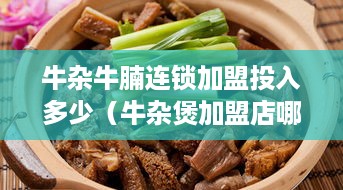 牛杂牛腩连锁加盟投入多少（牛杂煲加盟店哪个品牌好）