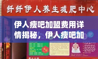 伊人瘦吧加盟费用详情揭秘，伊人瘦吧加盟条件及费用要求