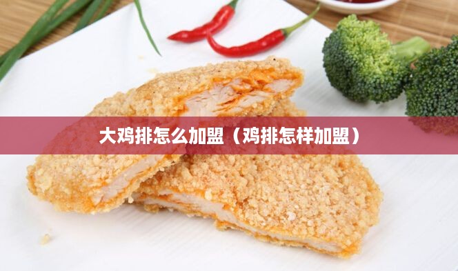 大鸡排怎么加盟（鸡排怎样加盟）