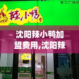 沈阳辣小鸭加盟费用,沈阳辣小鸭加盟条件及费用详情