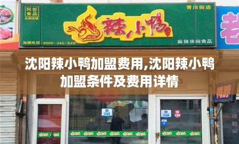 沈阳辣小鸭加盟费用,沈阳辣小鸭加盟条件及费用详情