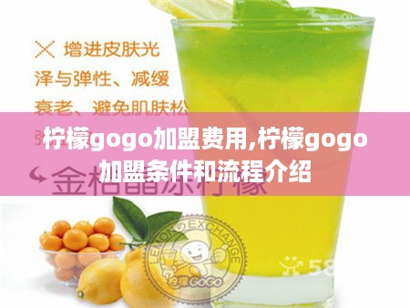 柠檬gogo加盟费用,柠檬gogo加盟条件和流程介绍