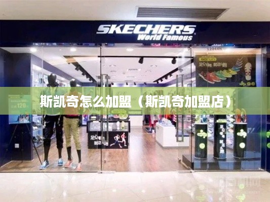 斯凯奇怎么加盟（斯凯奇加盟店）