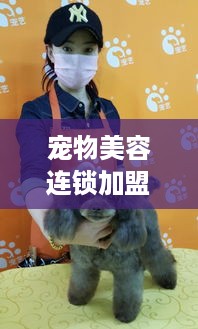 宠物美容连锁加盟投入多少（宠物美容连锁加盟投入多少钱合适）