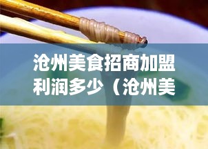 沧州美食招商加盟利润多少（沧州美食城招商）